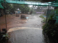 DSCN9073.JPG