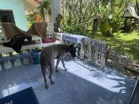 IMG_9027.jpeg
