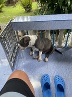 IMG_9024.jpeg