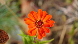 DSC08133.JPG