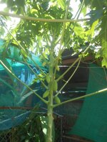 DSCN9065~3.JPG