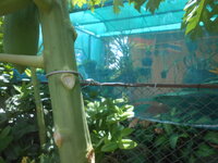 DSCN9061.JPG