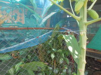 DSCN9062.JPG