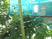 DSCN9063.JPG