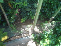 DSCN9067.JPG