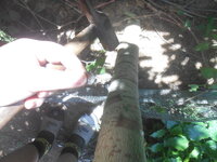 DSCN9056.JPG