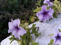 IMG-20261001-WA0034.jpg