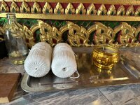 IMG_2884.jpeg