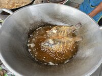 IMG_2894.jpeg