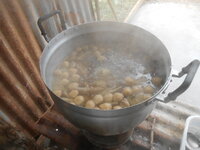 DSCN9160.JPG