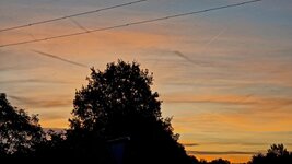 20261015_074208.jpg