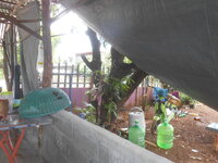 DSCN9179.JPG