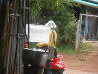 DSCN9174.JPG