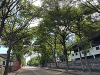 IMG_3182.jpeg