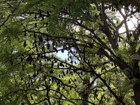 IMG_3183.jpeg