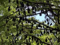 IMG_3184.jpeg