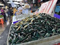 IMG_3192.jpeg
