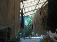 DSCN9254.JPG