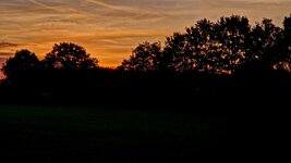 20261015_075845.jpg