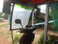 DSCN9185.JPG