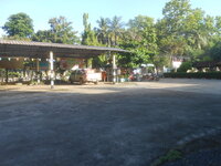 DSCN9295.JPG