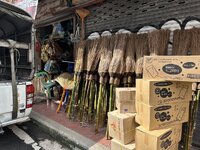 IMG_2560.jpeg