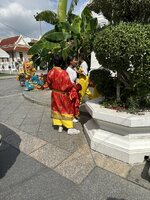IMG_2565.jpeg