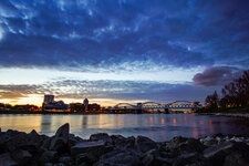 DSC02647.jpg