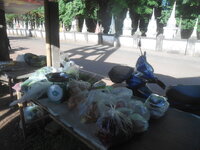 DSCN9315.JPG DSCN9315.JPG