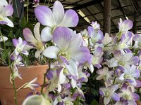 IMG_3414.jpeg