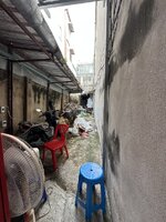 IMG_2616.jpeg