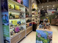 IMG_2629.jpeg