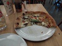 IMG_20261023_220120.jpg IMG_20261023_220120.jpg