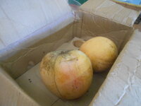 DSCN9464.JPG DSCN9464.JPG