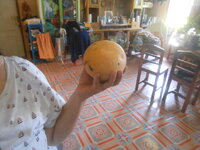 DSCN9465.JPG DSCN9465.JPG