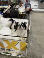 IMG_9140.JPG