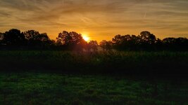 20261015_082036.jpg