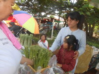 DSCN9209.JPG DSCN9209.JPG