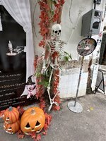IMG_2650.jpeg