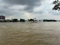 IMG_2655.jpeg