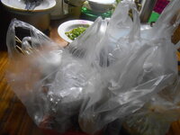 DSCN9227.JPG DSCN9227.JPG