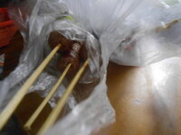 DSCN9230.JPG DSCN9230.JPG