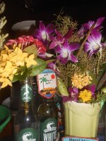 DSCN9240~2.JPG