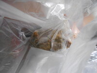 DSCN9233.JPG DSCN9233.JPG