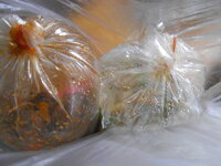 DSCN9234.JPG DSCN9234.JPG
