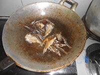 DSCN9375.JPG DSCN9375.JPG