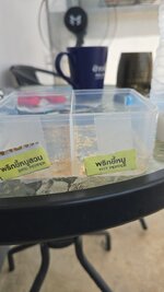IMG-20261015-WA0004.jpeg