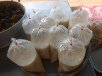 DSCN9277.JPG DSCN9277.JPG