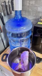 IMG_1930.jpeg