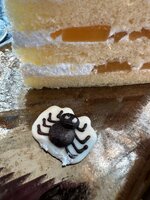 IMG_3790.jpeg